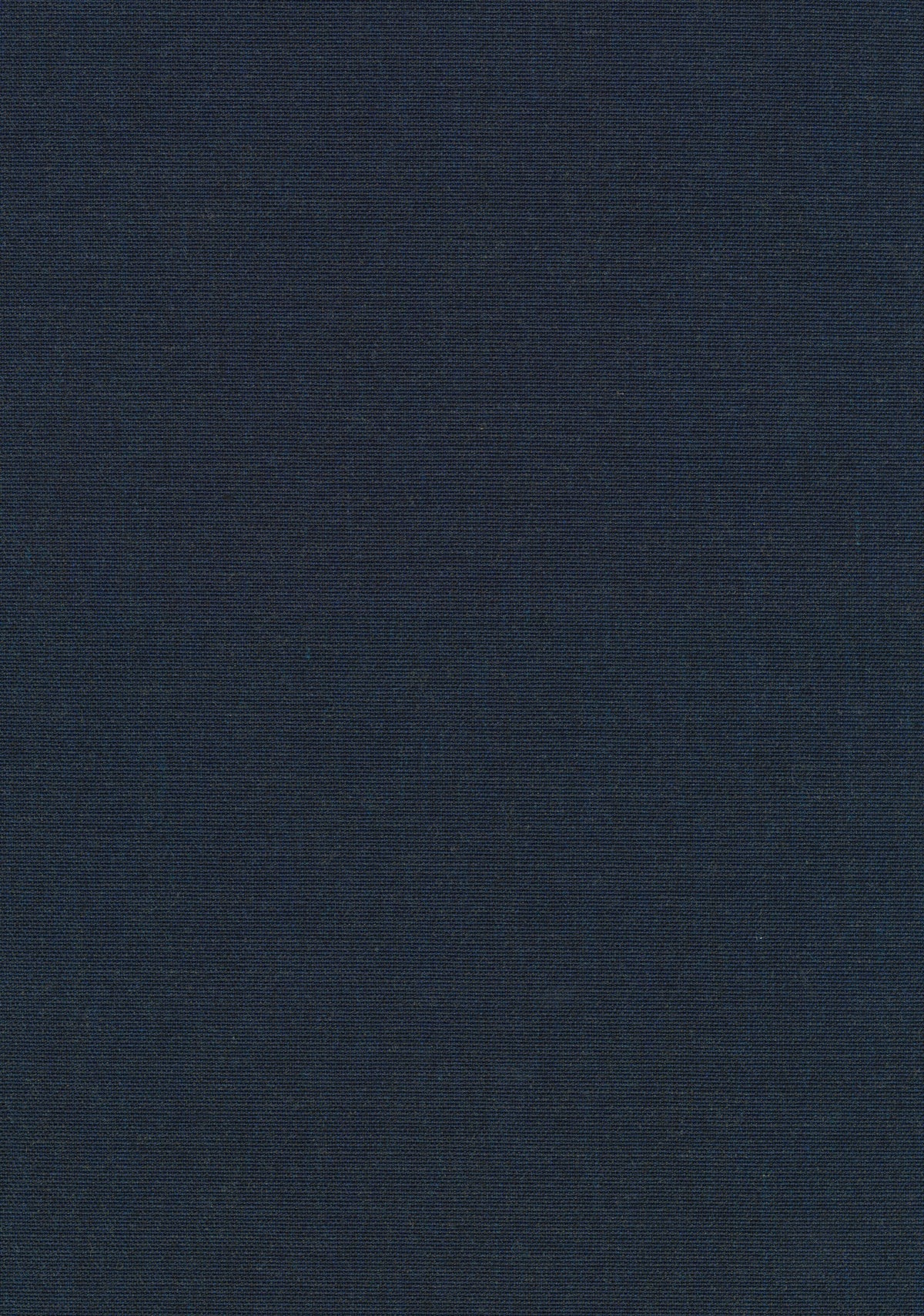 Canvas 2 