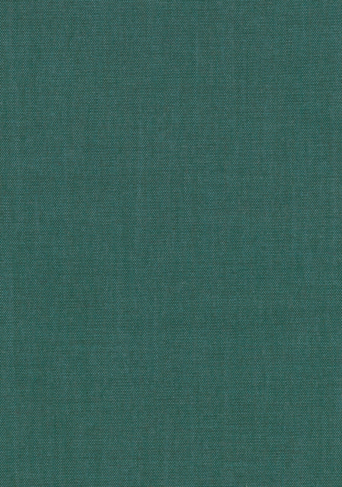 Canvas 2 