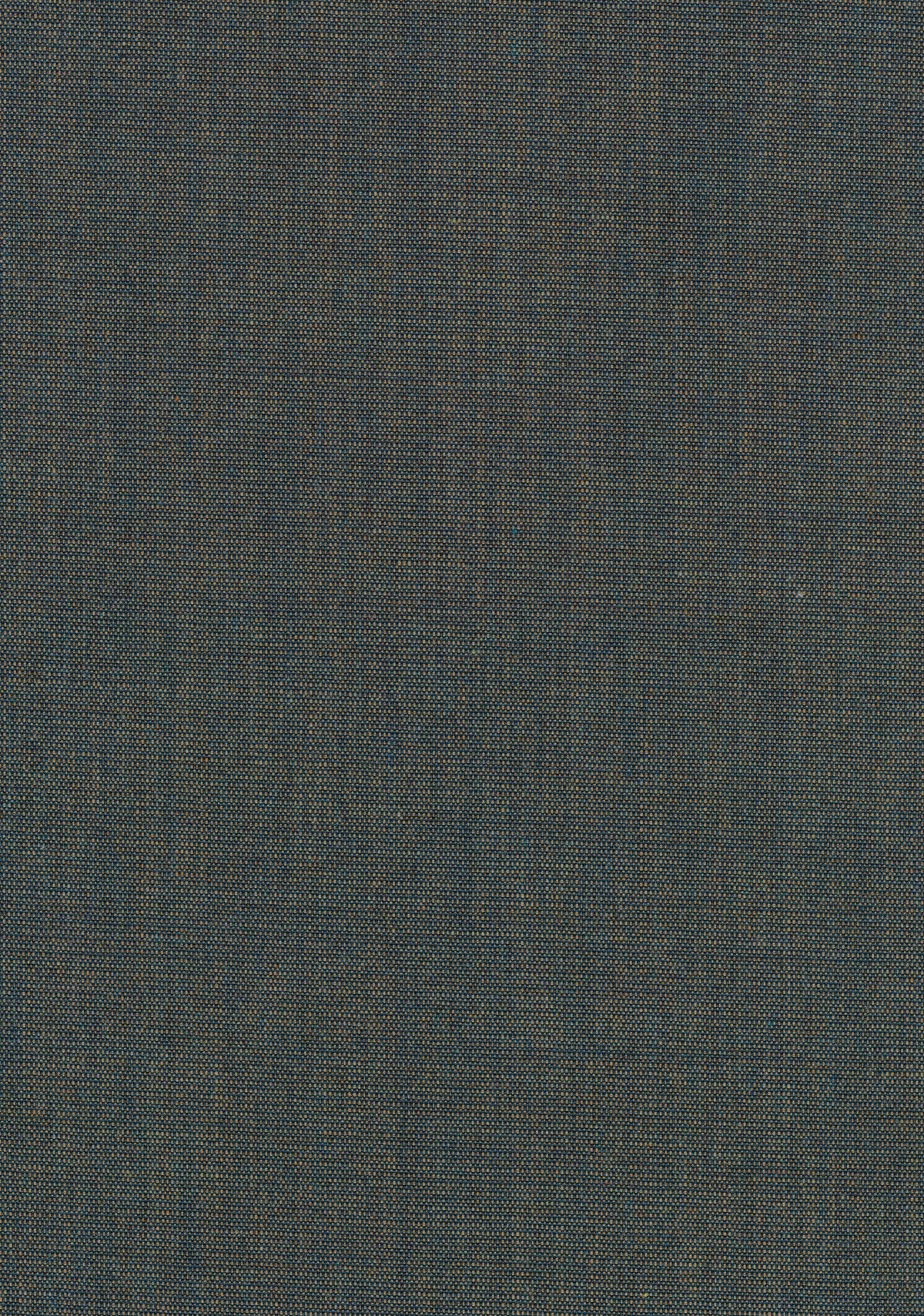 Canvas 2 