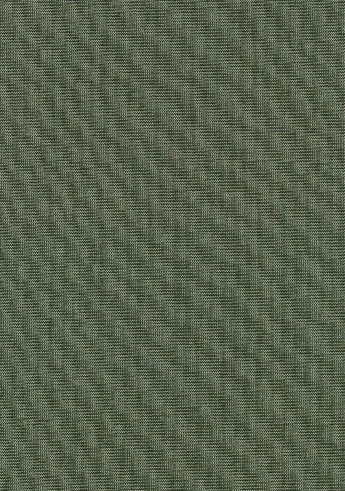 Canvas 2 