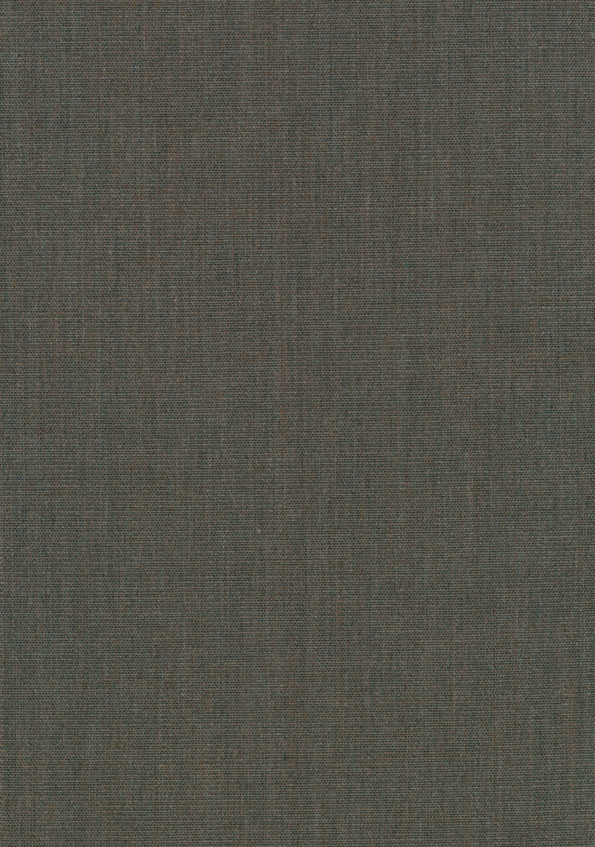 Canvas 2 