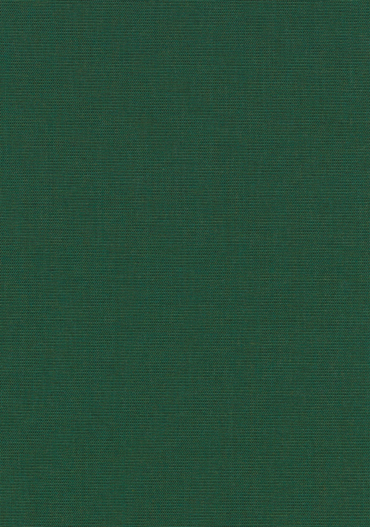 Canvas 2 