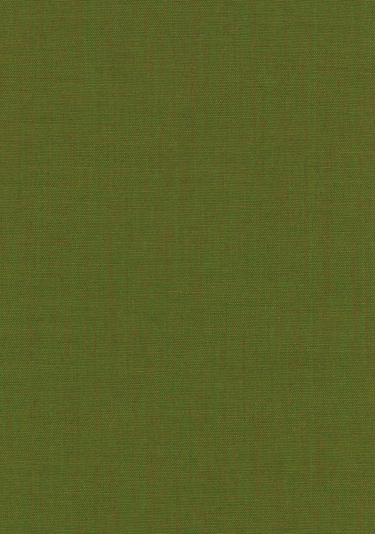 Canvas 2 