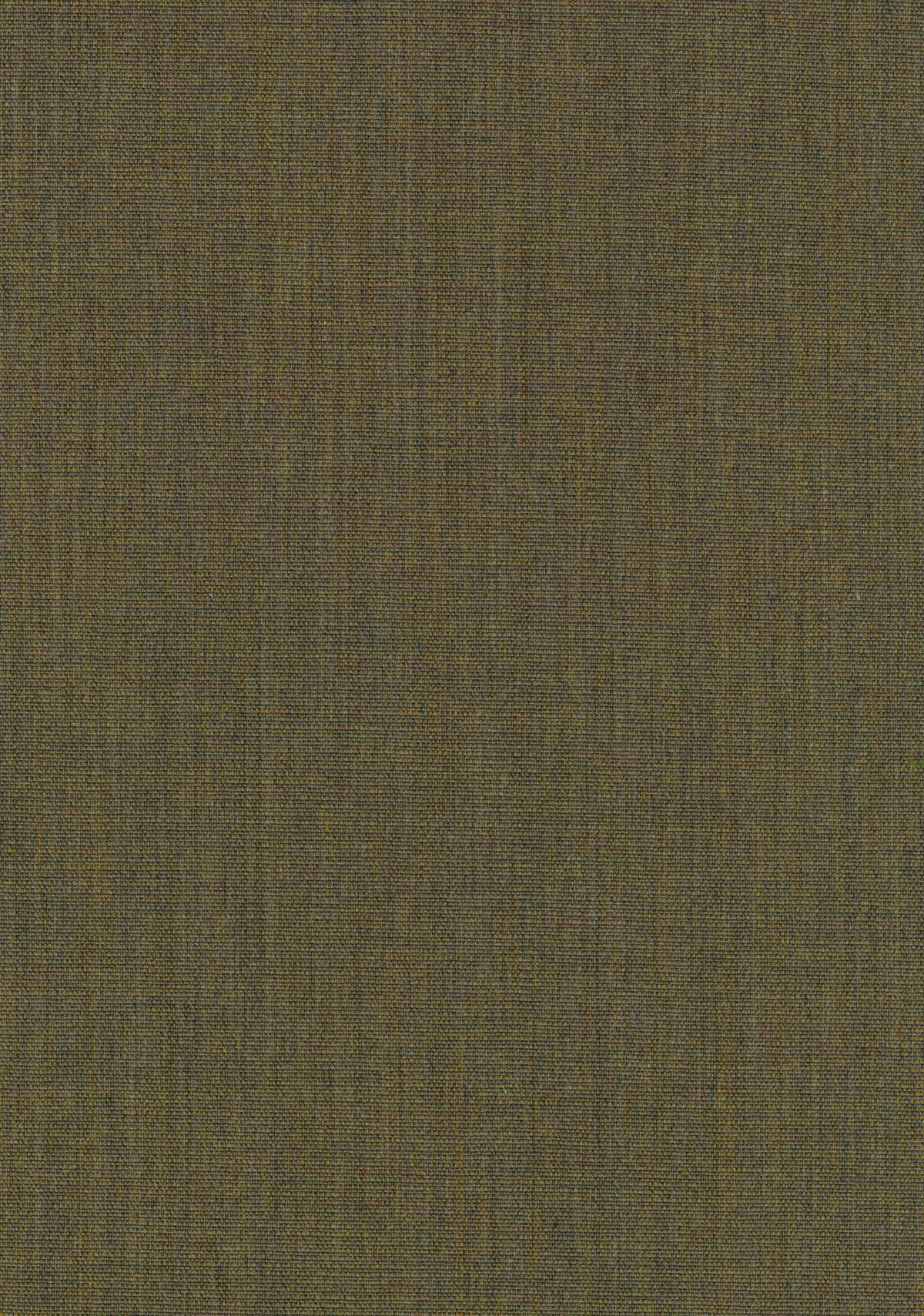 Canvas 2 