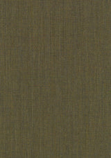 Colour 0964