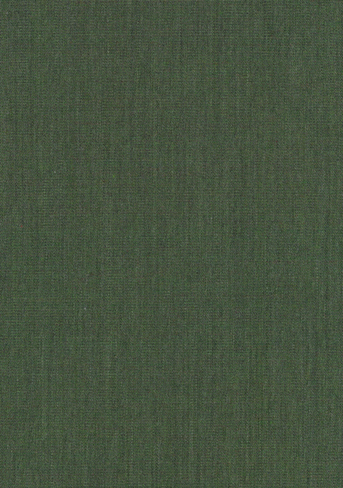 Canvas 2 
