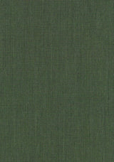 Colour 0974