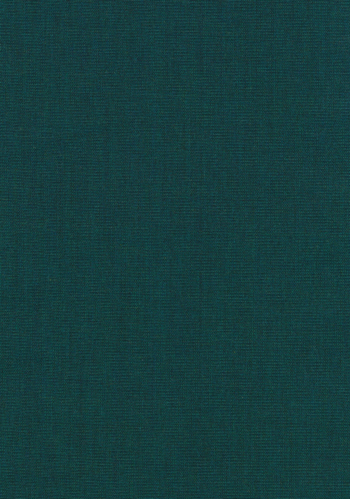 Canvas 2 