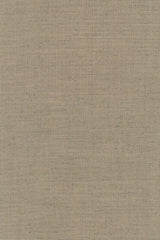 Colour 0243