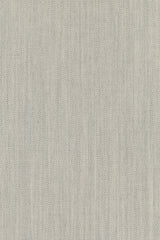 Colour 0101