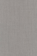 Colour 0251
