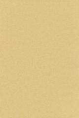 Kleur 0410