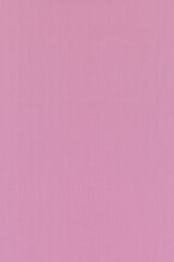 Colour 0646