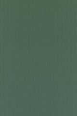 Colour 0976