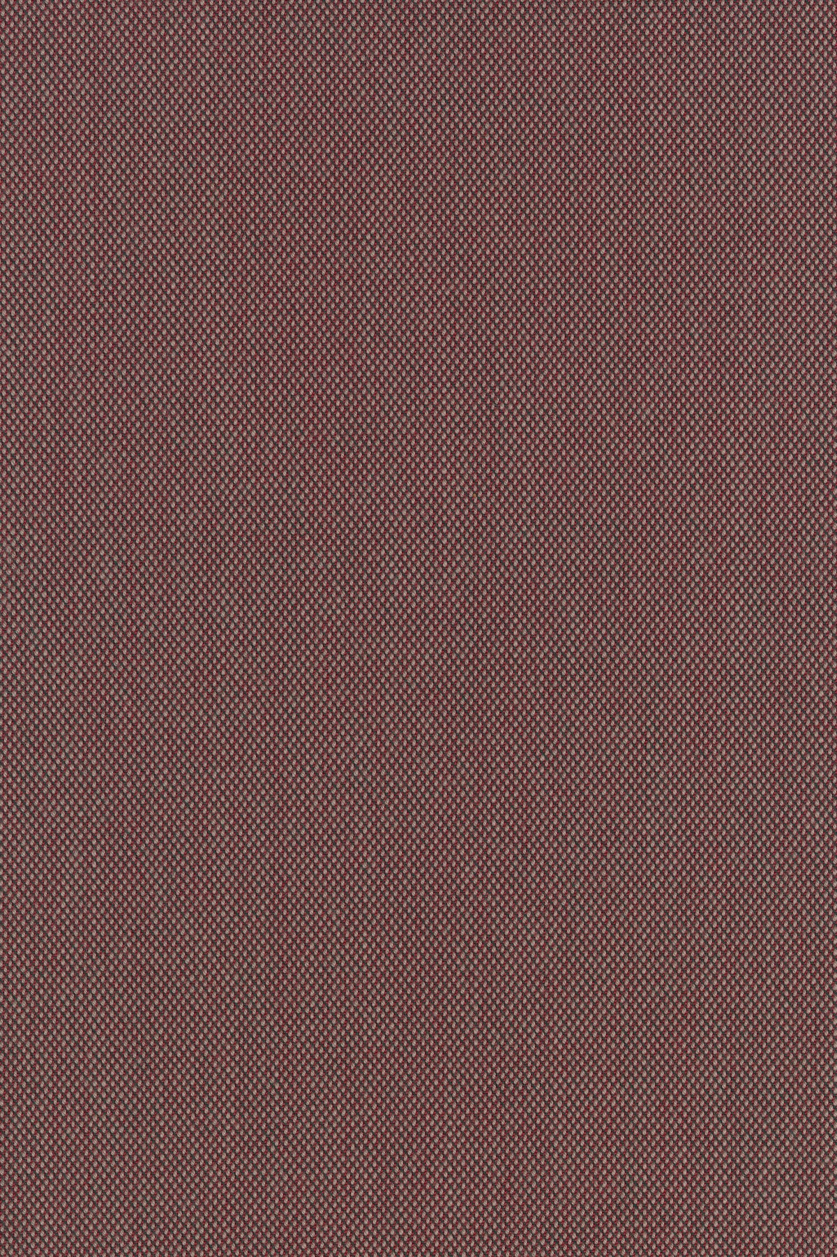 Steelcut Trio 3