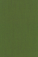 Kleur 0953