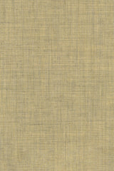 Colour 0423