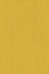 Colour 0427
