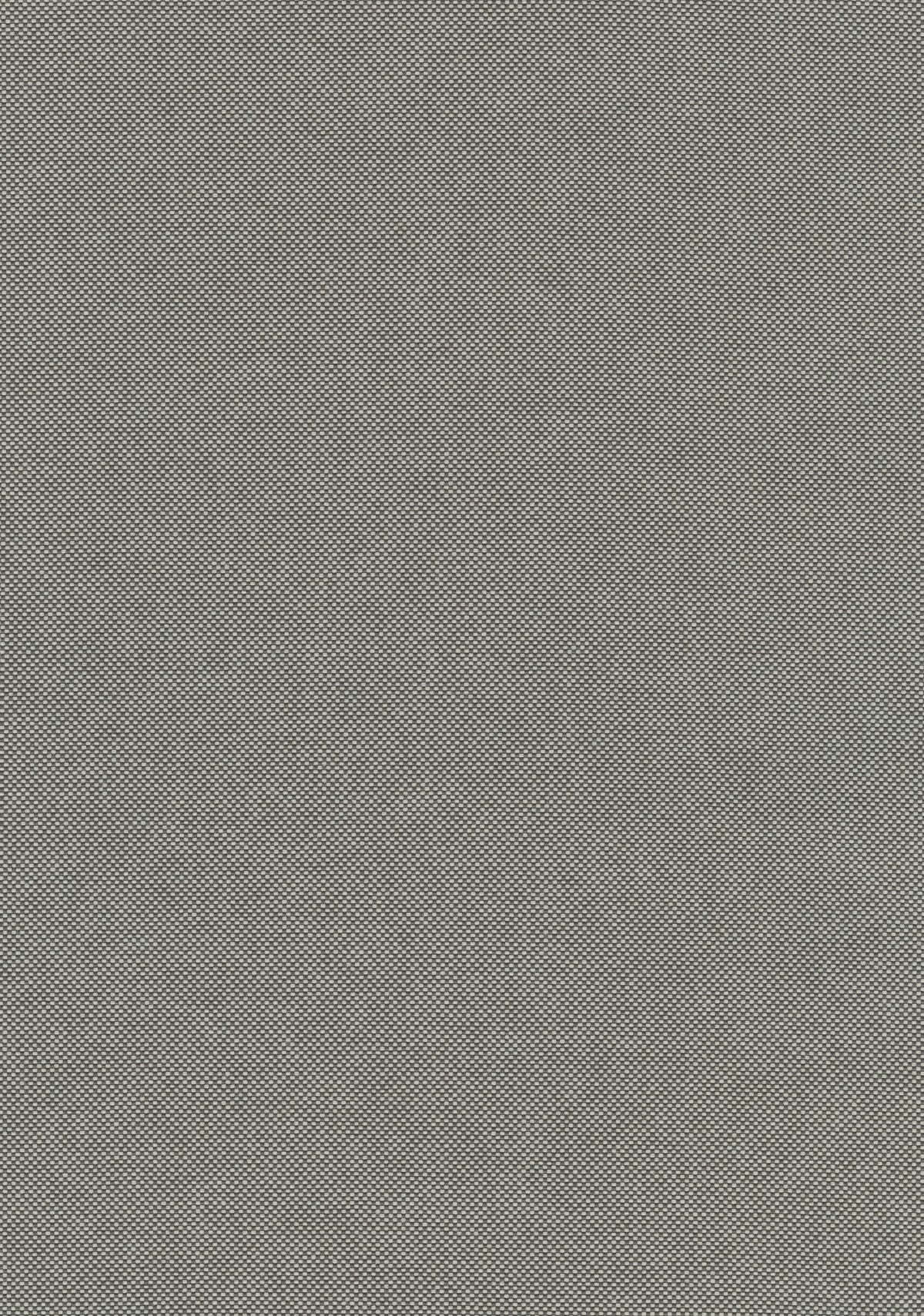 Field 2 