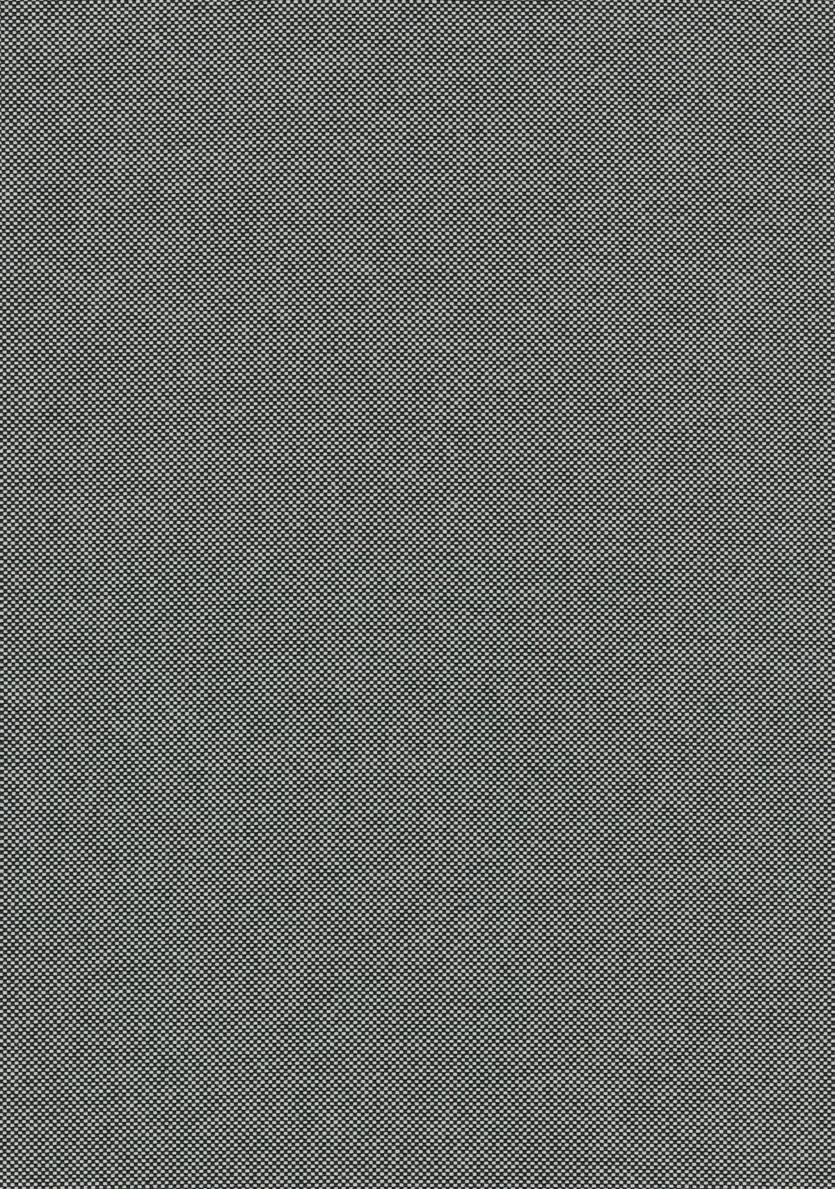 Field 2 