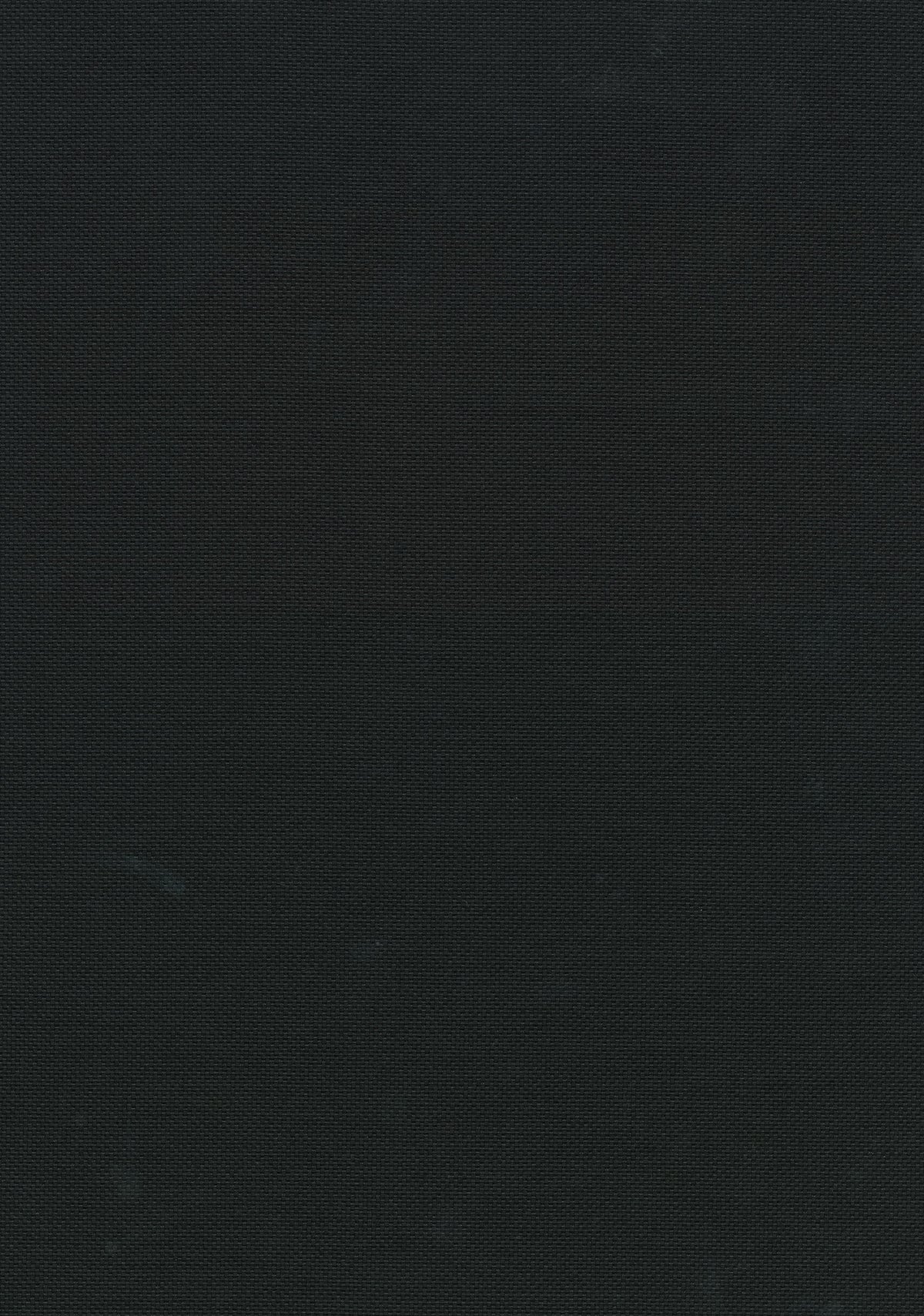 Field 2 