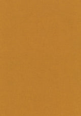 Colour 0463