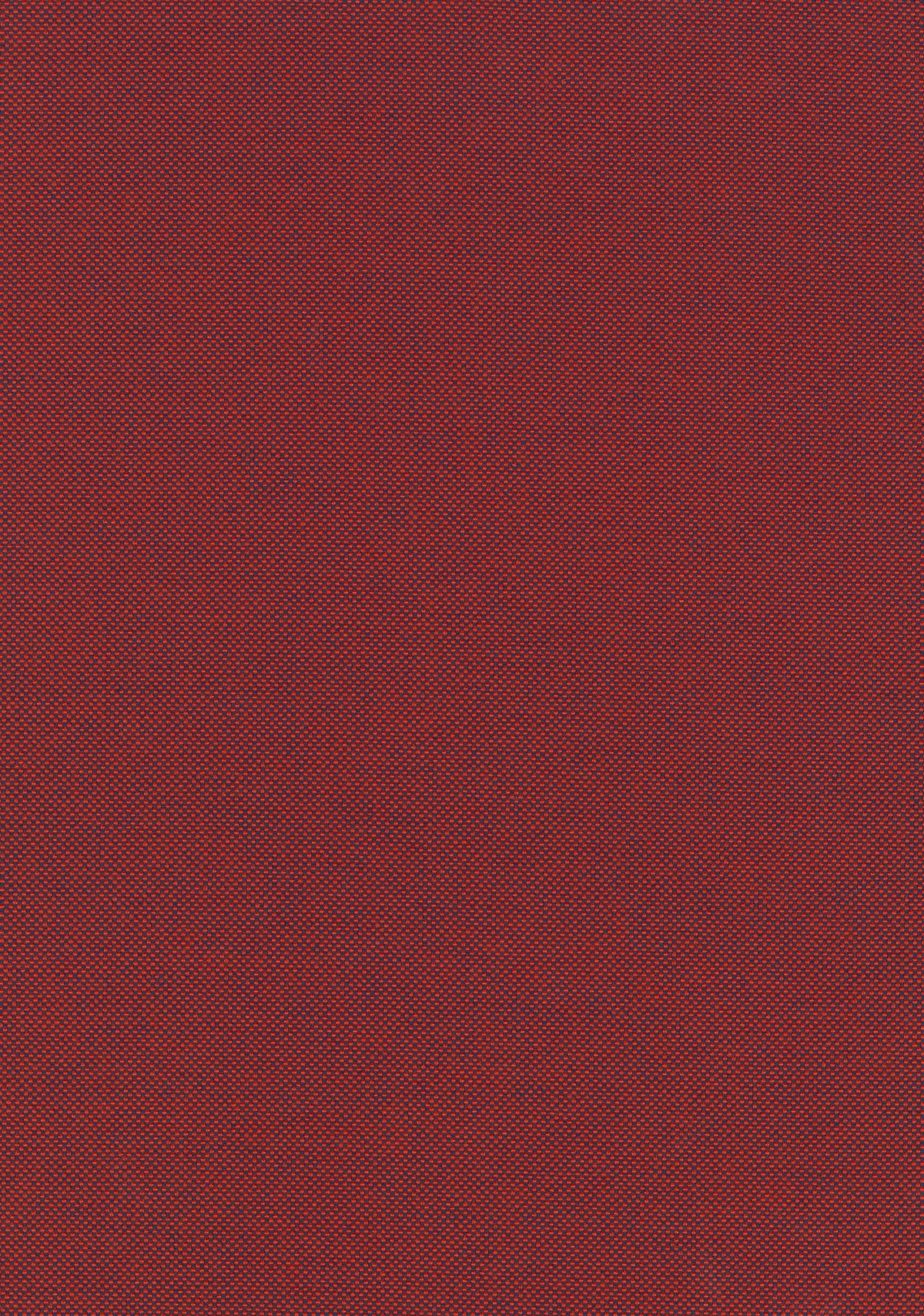 Field 2 