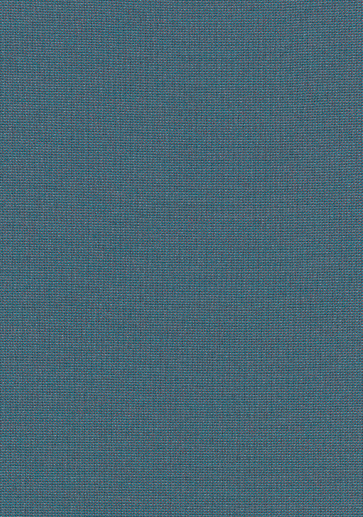 Field 2 
