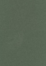 Colour 0943