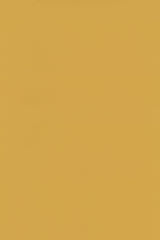 Colour 0461